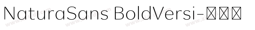 NaturaSans BoldVersi字体转换